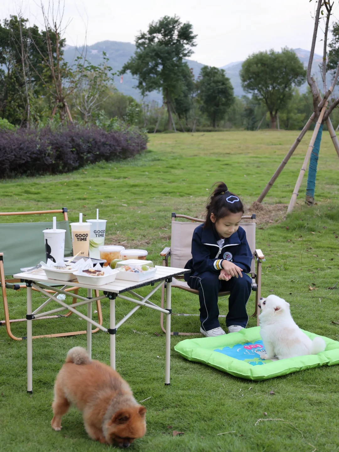 露营生活碎片🏕️ 一起森呼吸～