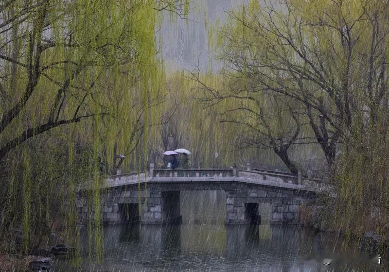 上联：秋霜催黄叶，诚邀下联春雨润绿柳！