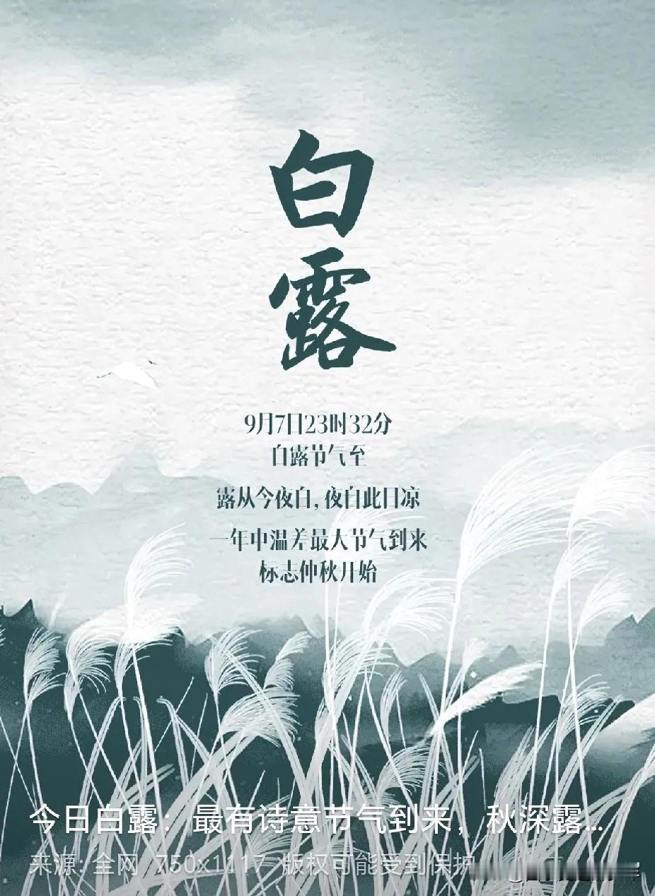今日白露
白露地上撒，
天高白云飘。
草木新装旧，
花儿羞抬头。
早晚温差大，
