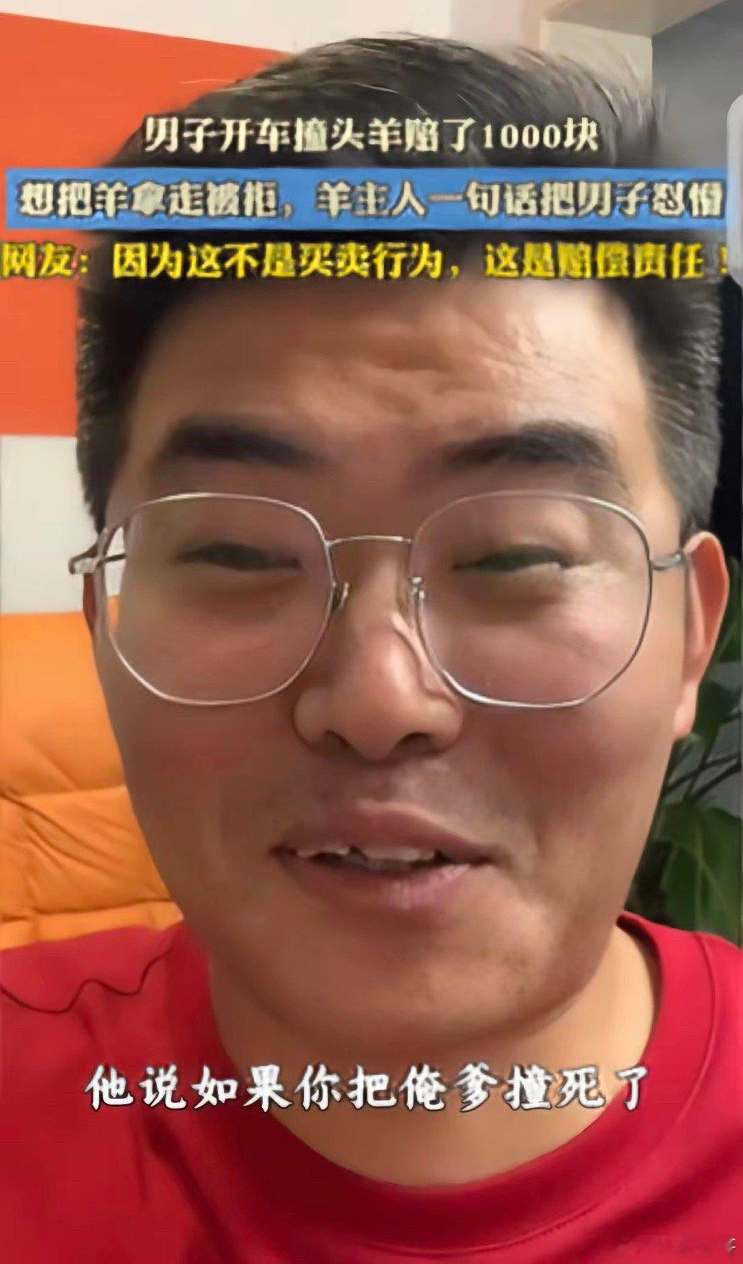 “破防了！”一男子开车，撞死一只头羊，赔了牧民1000元，他想把死羊拿走，牧民却