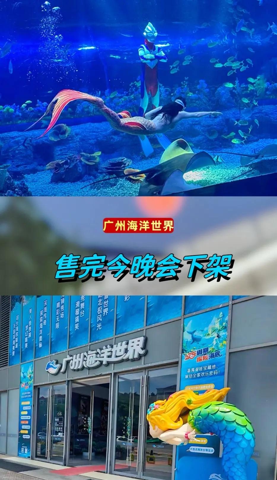 广州海洋世界。广州海洋世界 海洋世界 遛娃好去处 美人鱼表演