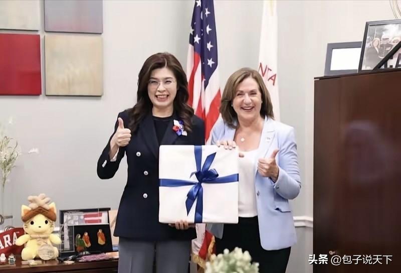 台海没有永久维持现状！伪和平的拖延套路断不可行。

郑丽文提出的所谓台海和平理念