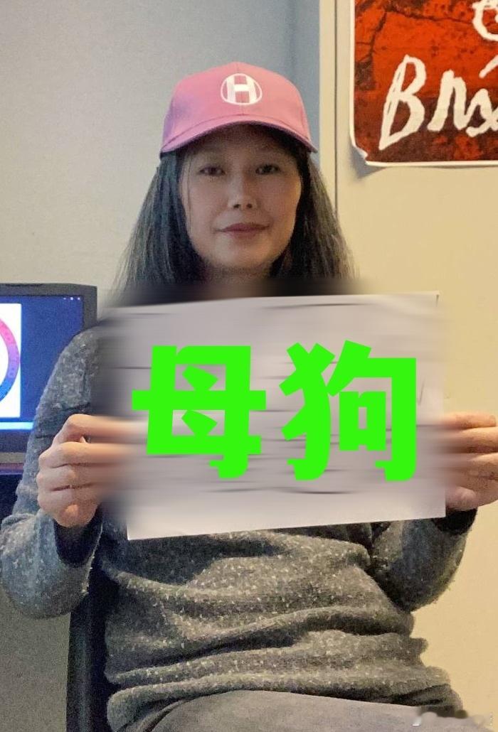 台独蛙媒：一只叫刘X玲的说，过去这段日子，“颜色”因人手和资金不足面对困难。它一
