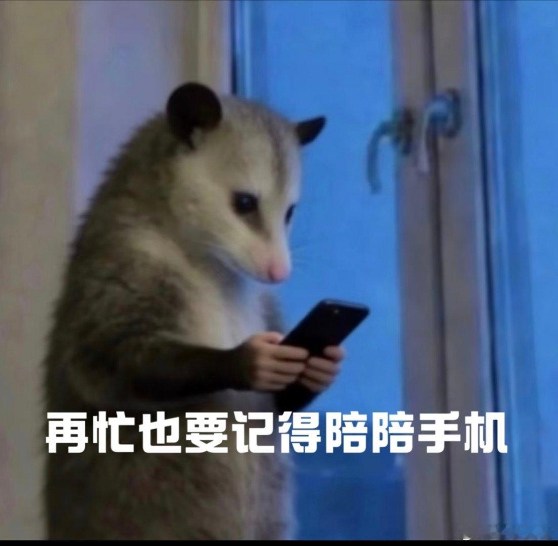 你对手机涨价脱敏了吗随着内存和芯片的成本上涨，不少旗舰机已经摸上万元门槛，中端机