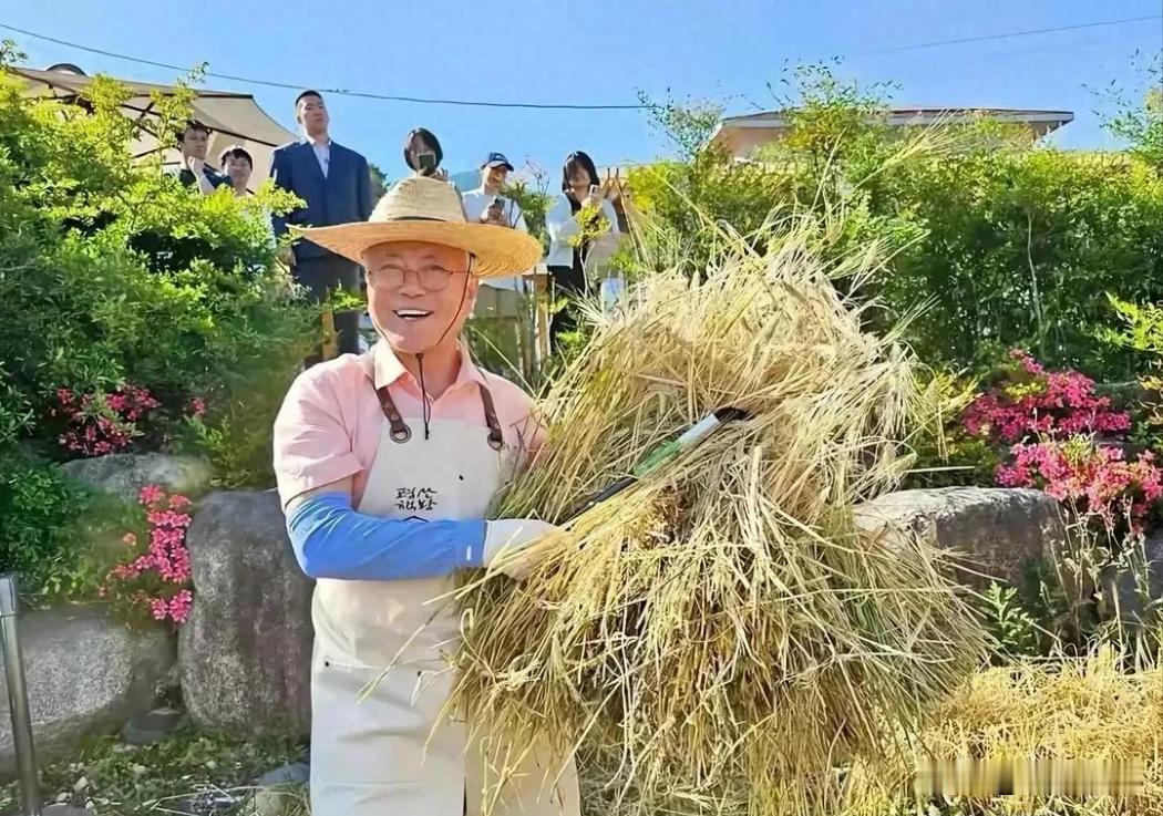 文在寅退休后松弛感满满！割麦子成网友打卡地。

要说韩国最幸福的总统是谁，可能所