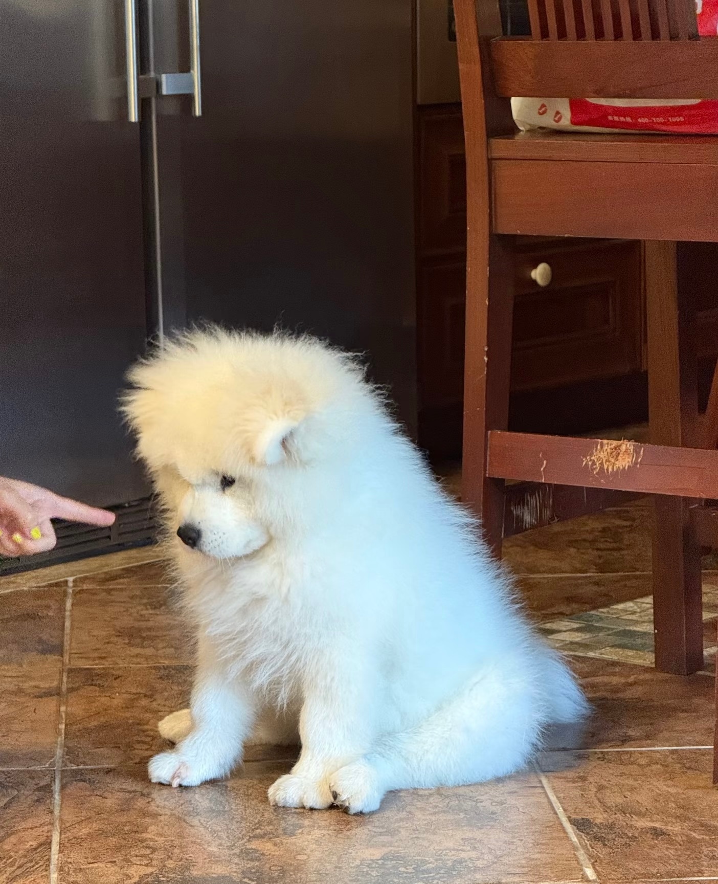 耶耶，昨天晚上你怎么又尿床了！ ​​​