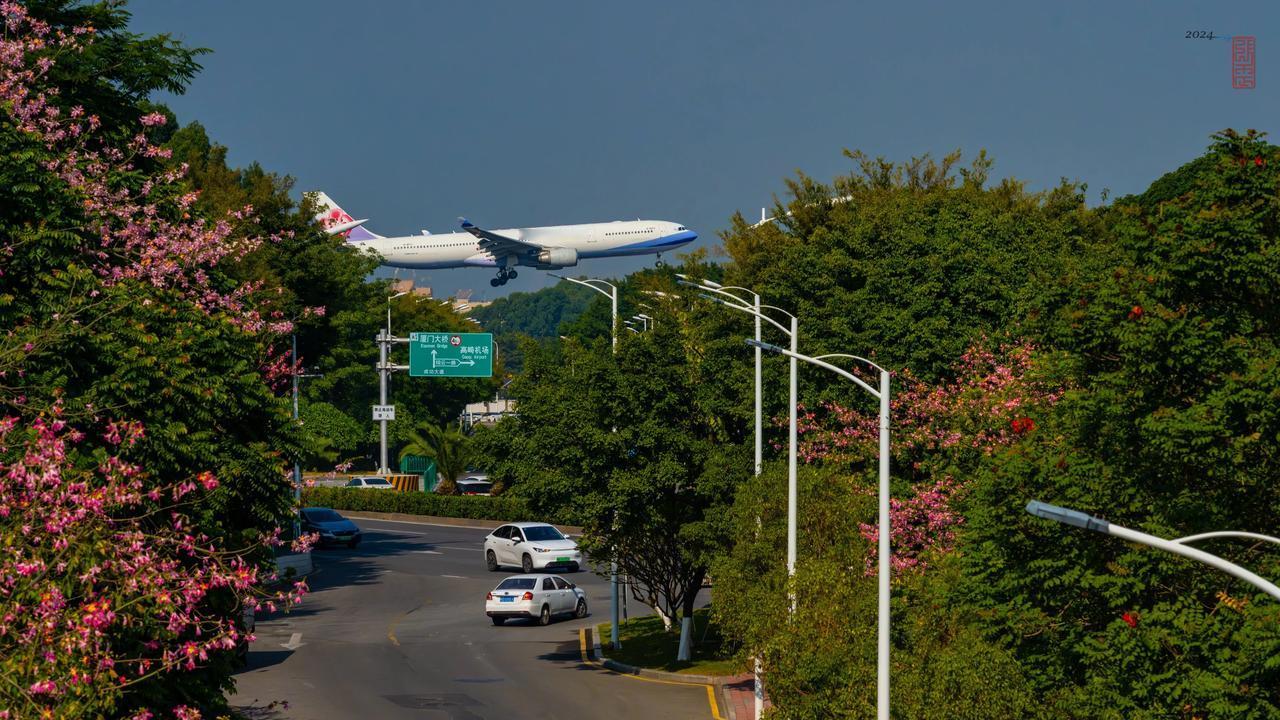 惊鸿一瞥。一架台北飞来的空客A330正在降落。（拍自厦门高崎机场）