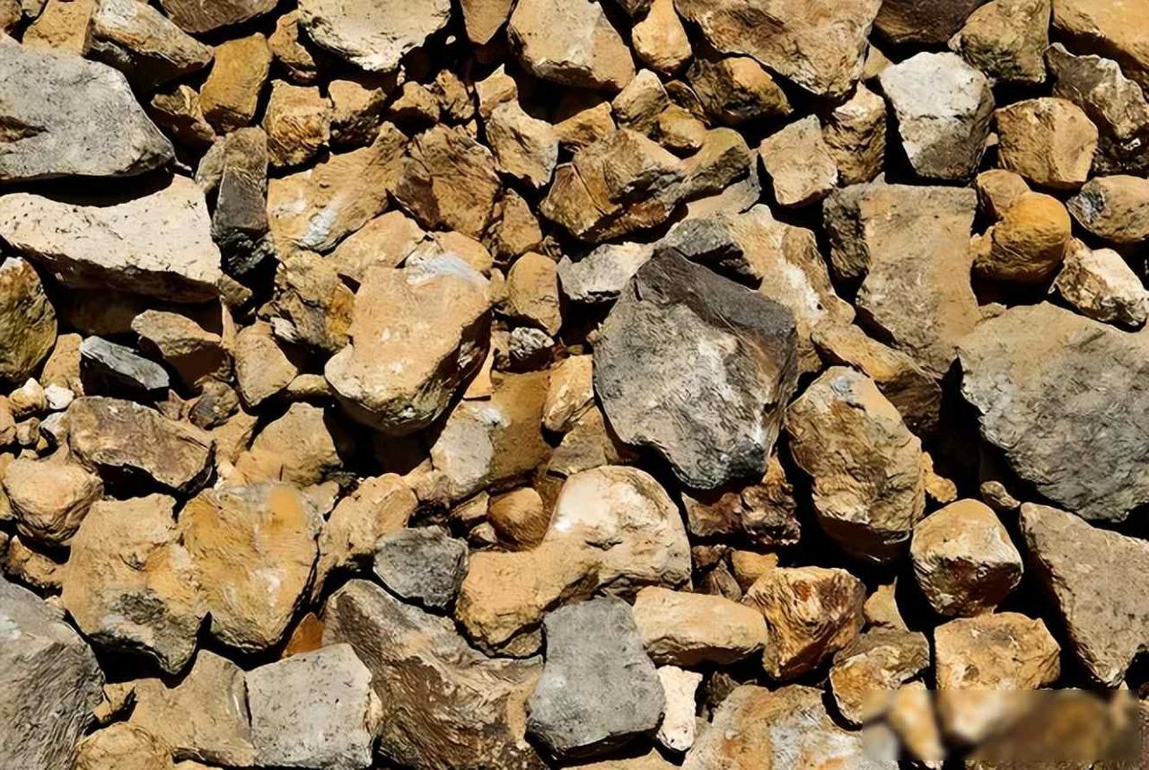 9国达成共识，日本等来救兵，越南下达禁令，中国稀土王牌告急？
2025年12月1