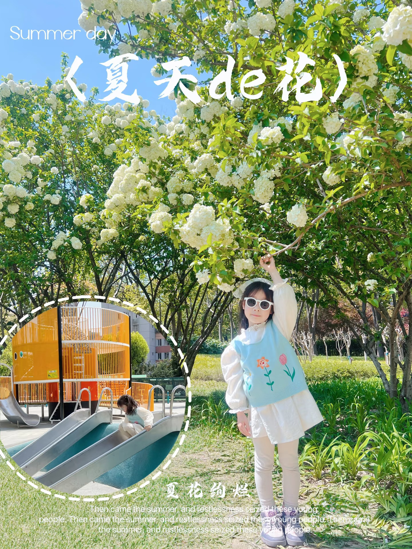 这里的木绣球已开满‼️还有2个儿童乐园