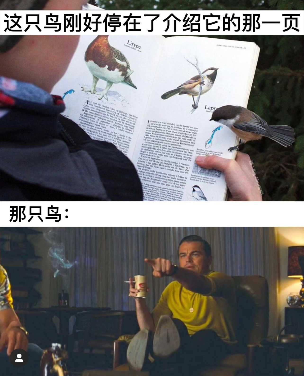 闪亮登场#今日memes# //#春日cityhappy计划# ​​​