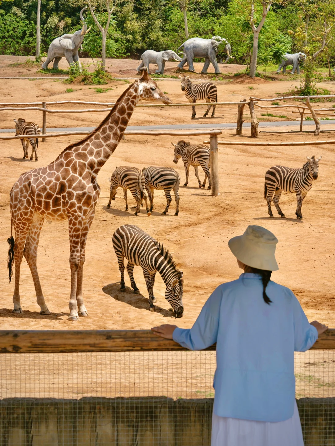 穿越南美雨林‼杭野五一新玩法🗺️附攻略