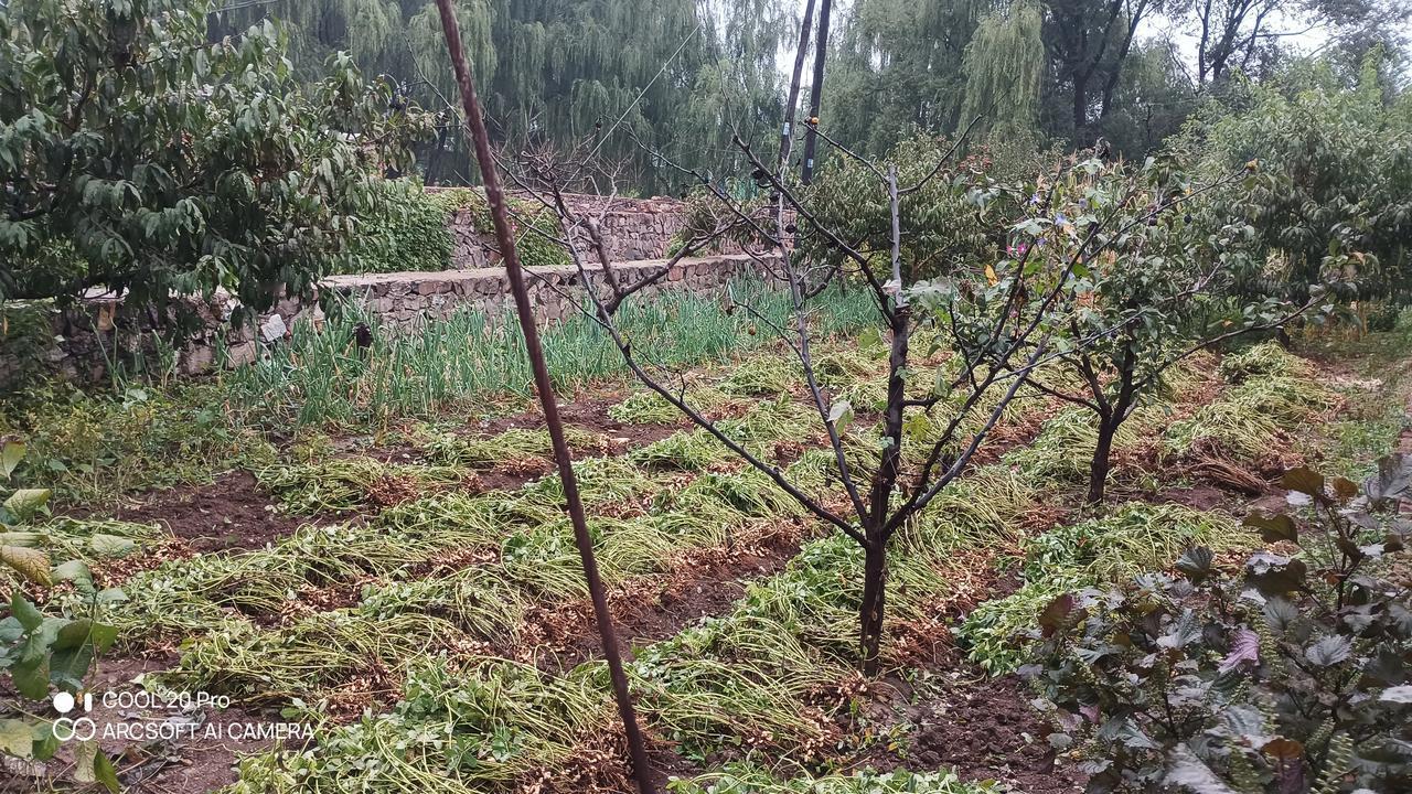 战争不可避免！你不想打，但别人想祸祸你，让你不得安生。有备无患！机会永远留给有充