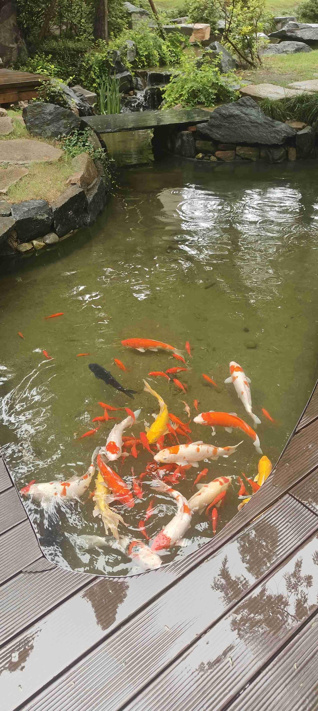 我的今日状态：😁轻松愉快
我这里的天气：☀️晴天