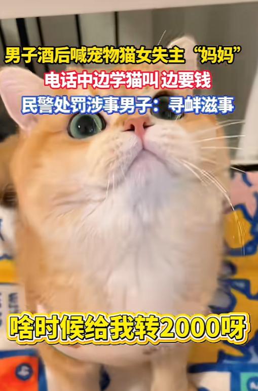 “离了个大谱！”5月6日报道，天津，一女子猫咪走失，她发布寻猫启事后，一名男子给