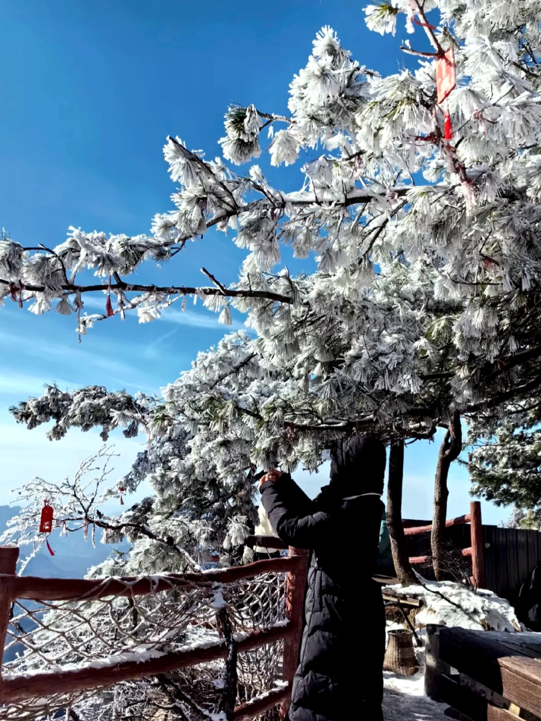 蕞美不过下雪天～雪❄️一落下就美成了诗～