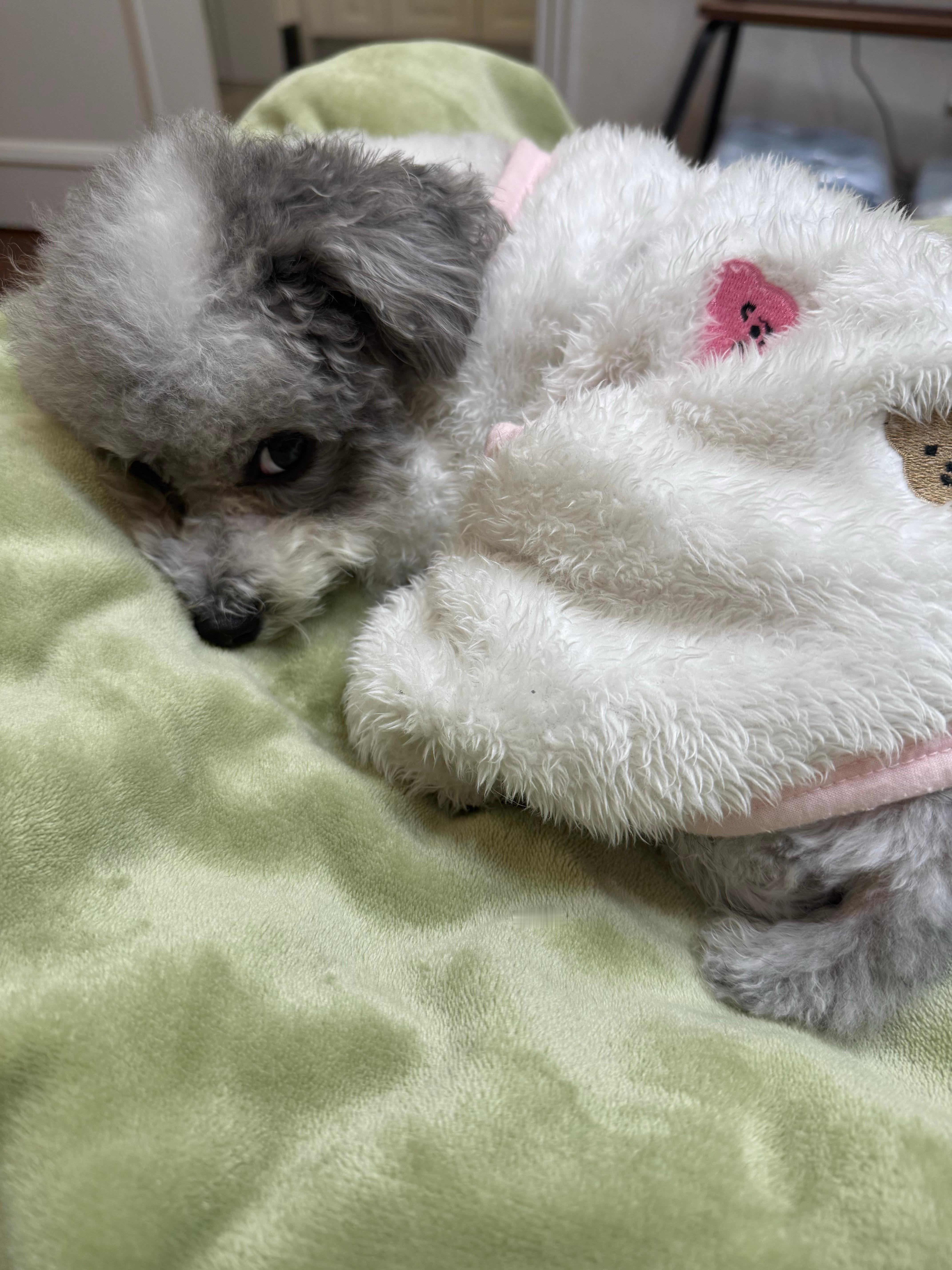 这两天和朋友玩天天熬夜昨天还通宵了🥱今天这会儿就睡！😪 ​​​