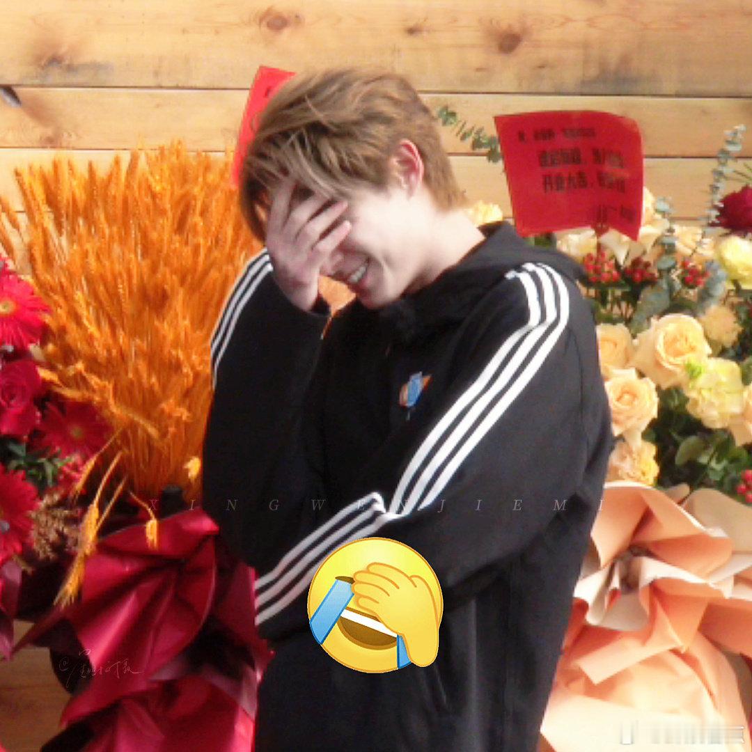 王鹤棣满分表情包适配度王鹤棣你还有多少惊喜是我们不知道的？表情包适配度直接满分，