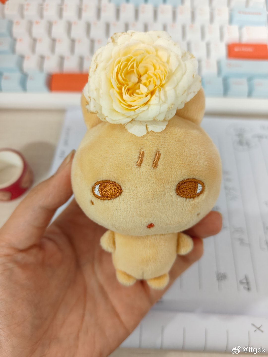 兔甄嬛驾到 