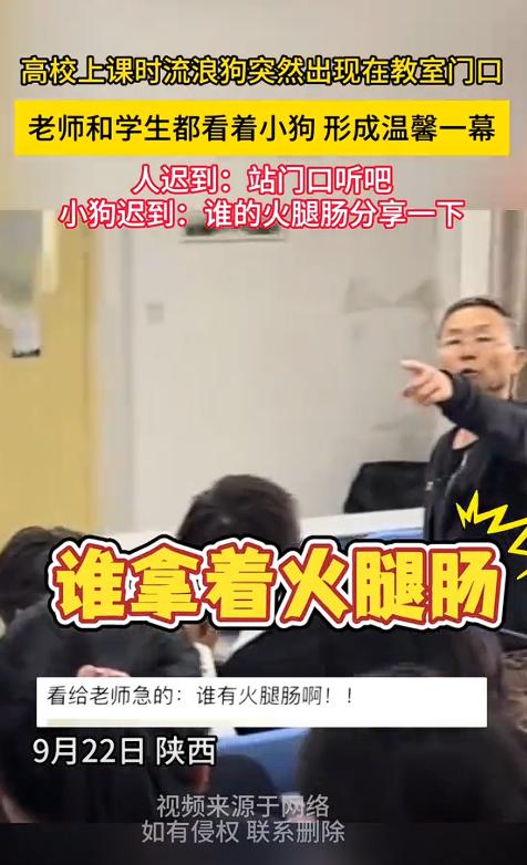 陕西某大学教室门口一名老教师正在给学生上课，突然，一只流浪狗出现在教室门口，学生