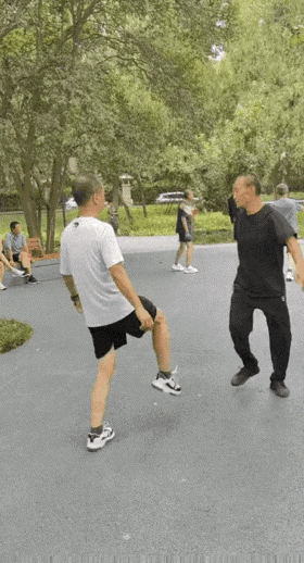 世界多姿多彩，
只要你去公园走一走，
总有一款会惊艳到你的。