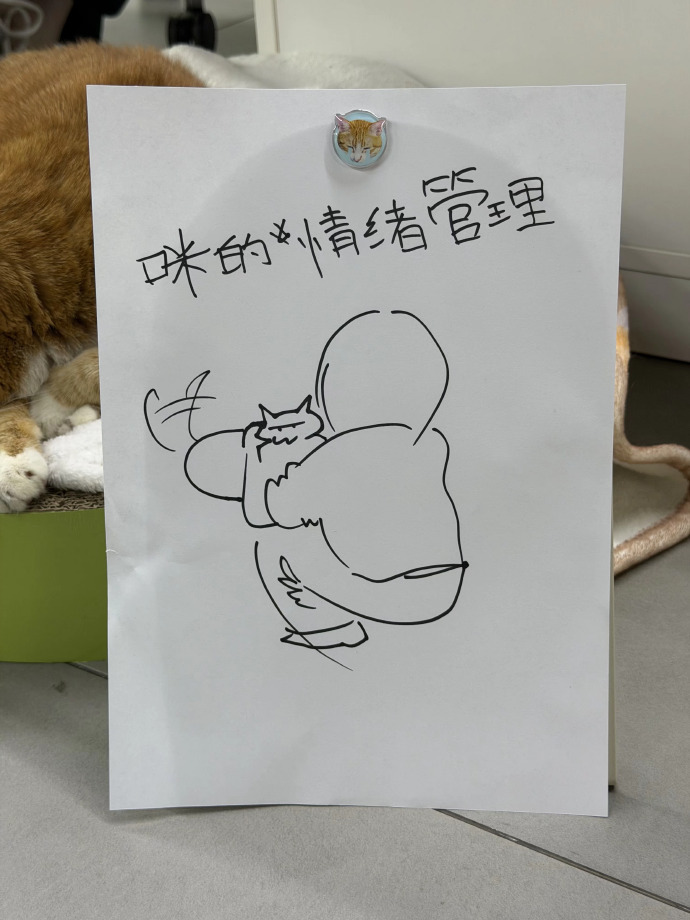 办公区域不允许写生哈