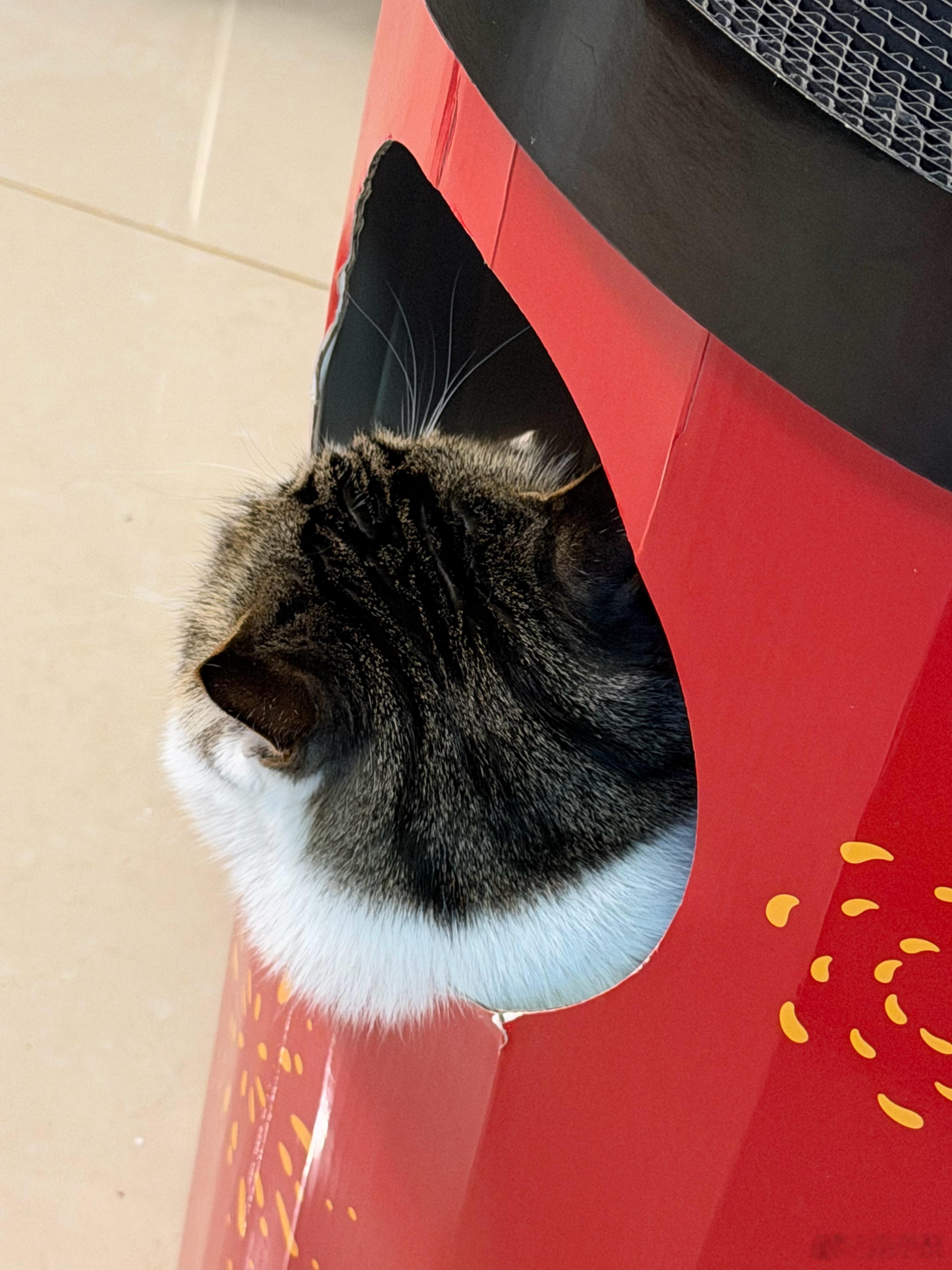 有些人啊，以为自己在格局逆袭，其实是特么超速逆行。 