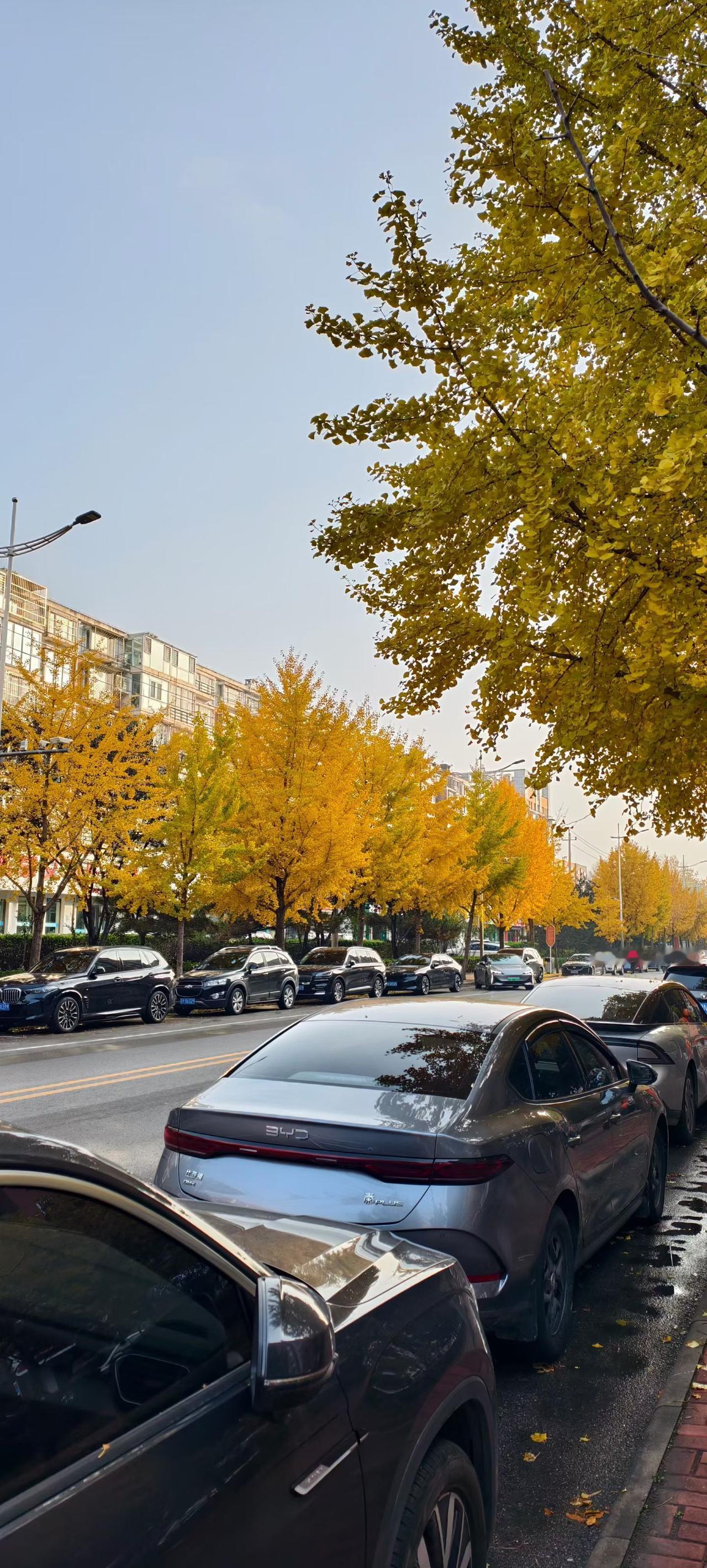 当我感到累的时候，是怎么度过的呢？

休息片刻：闭上眼睛，深呼吸几次，让自己平静