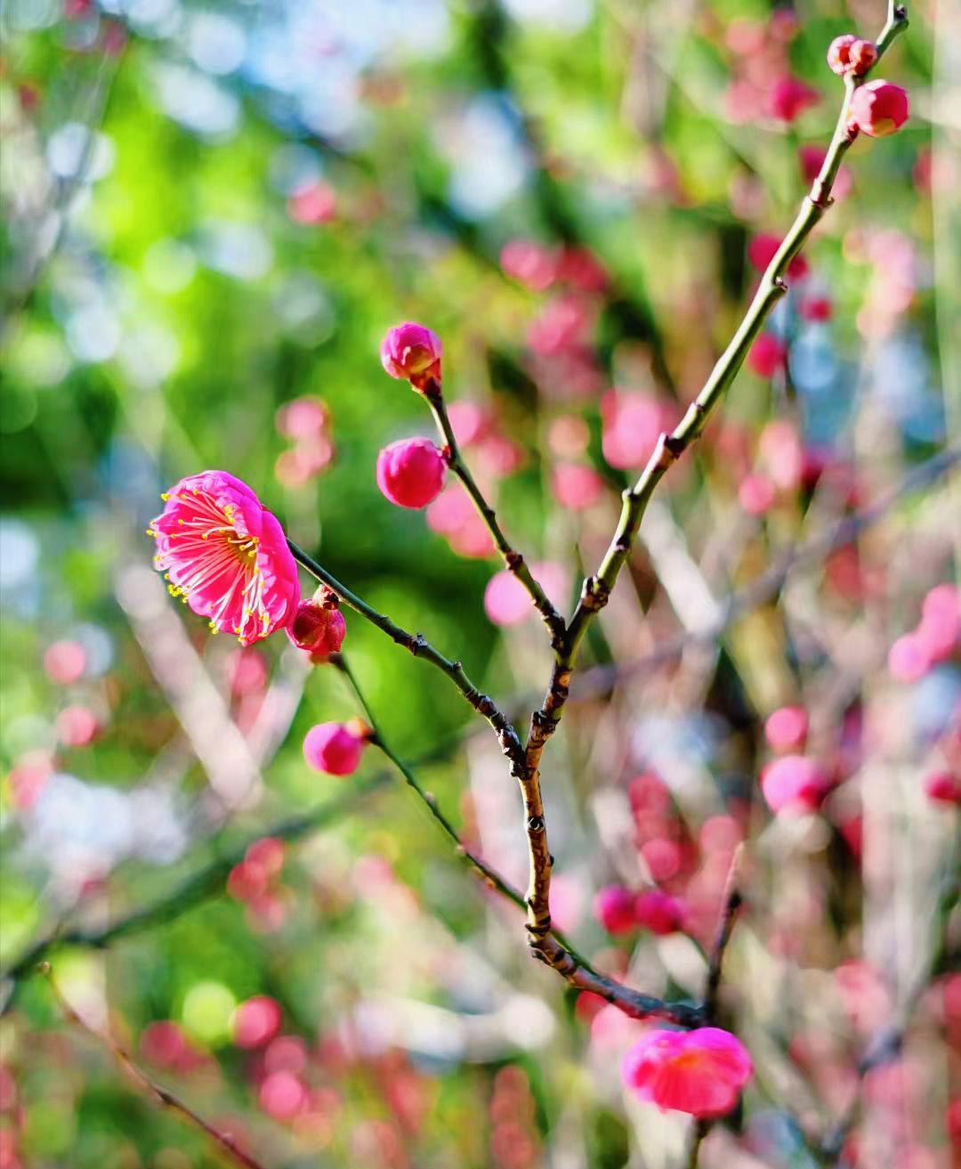 晒图笔记大赛生命的度过就像看风景，走得快可以看到更多的景色，走得慢却能更多地领略