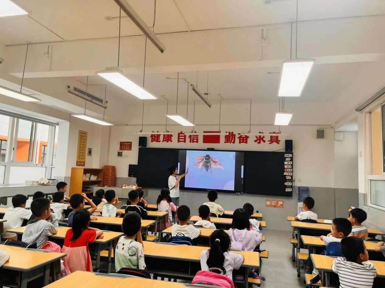 西安高新第三小学：将大自然搬进课堂
 
蝴蝶的鼻子在哪里？蜘蛛是不是昆虫呢？蚊子