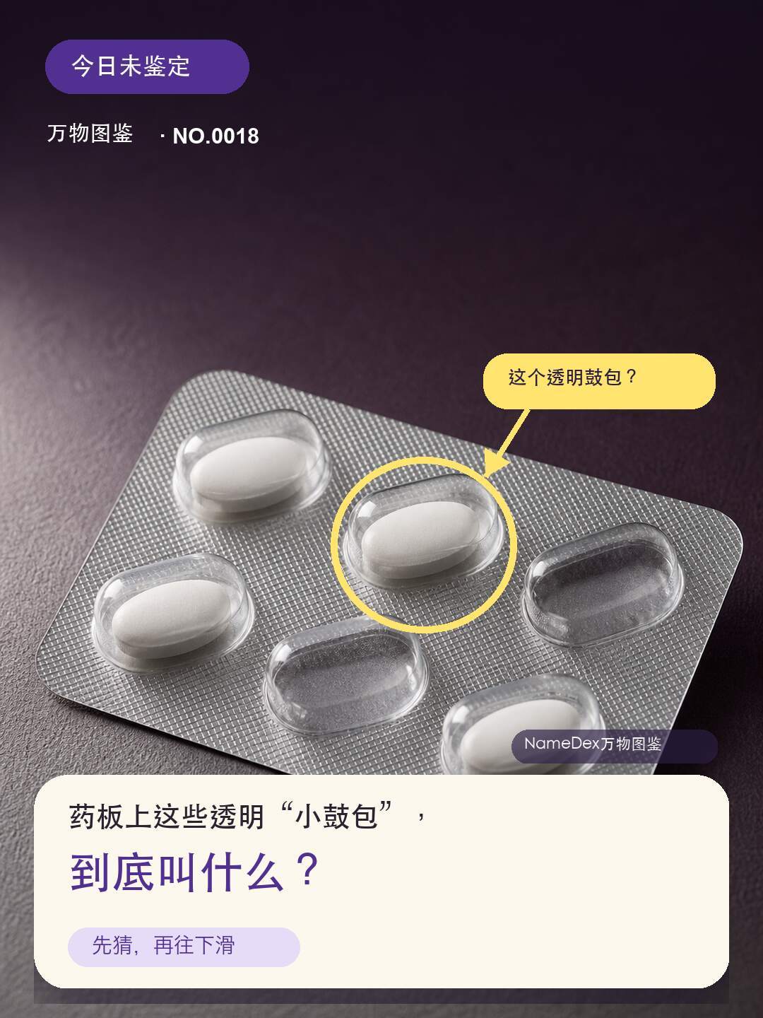原来这些叫不出来的东西真有名字啊