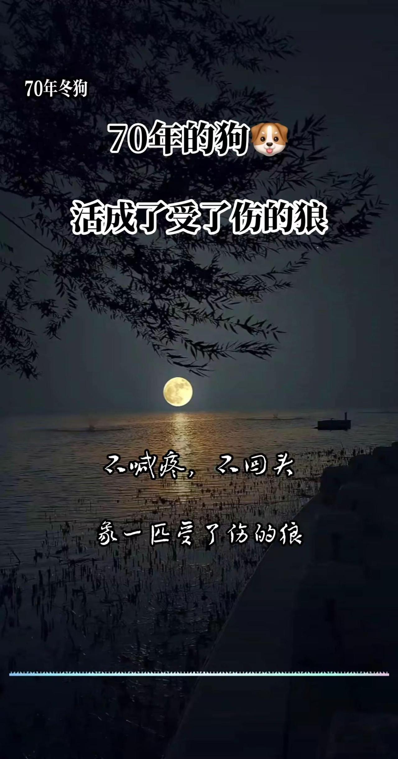 70年的狗活成了受了伤的人不喊疼，不回头…70后情感 中年感悟 受了伤的人 伤感