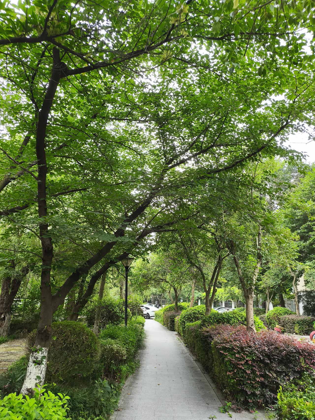 南京这高温天，简直是“烤”验人。之前入伏后，气温像脱缰野马，全国高温榜前十江苏占