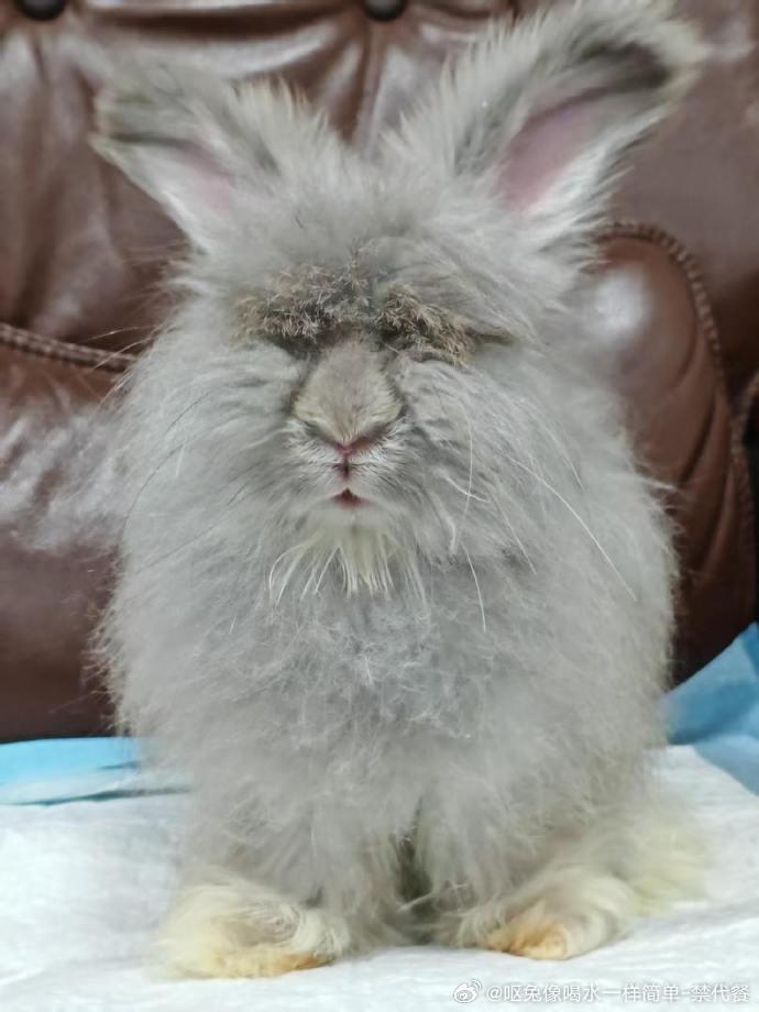 14037🐇【🗿】测包你就发这个然后什么也不说。 