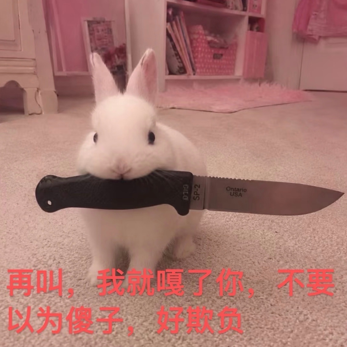 分享图片 
