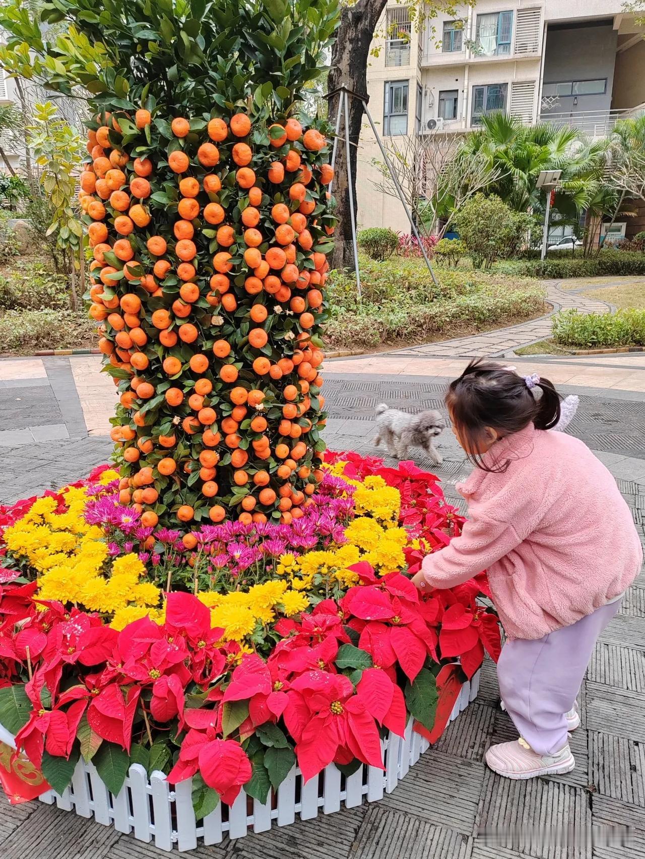 真不明白广东人为何过春节在院子里要摆设这个造型？