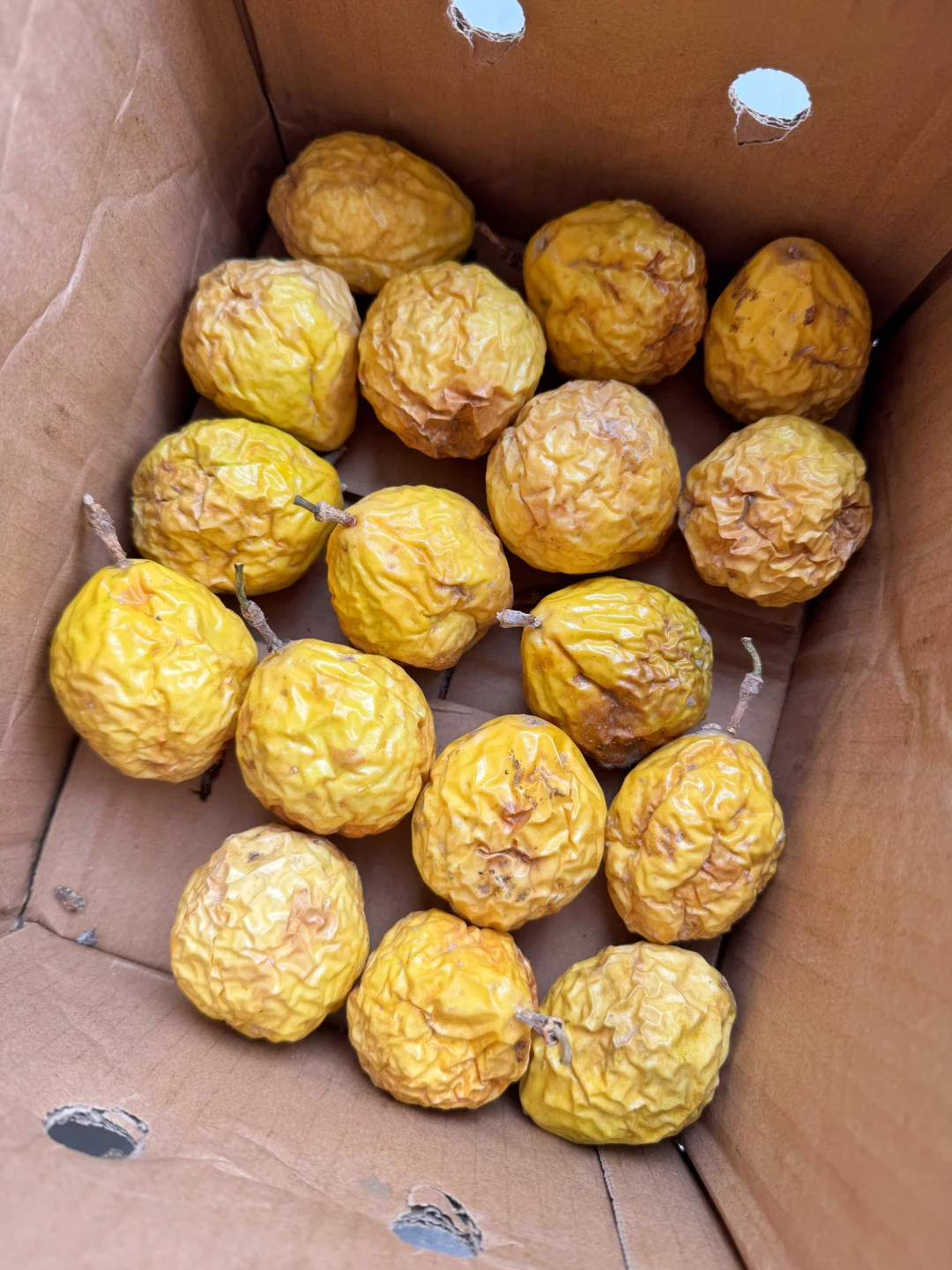 信了商家的话，说百香果越放越甜🤣