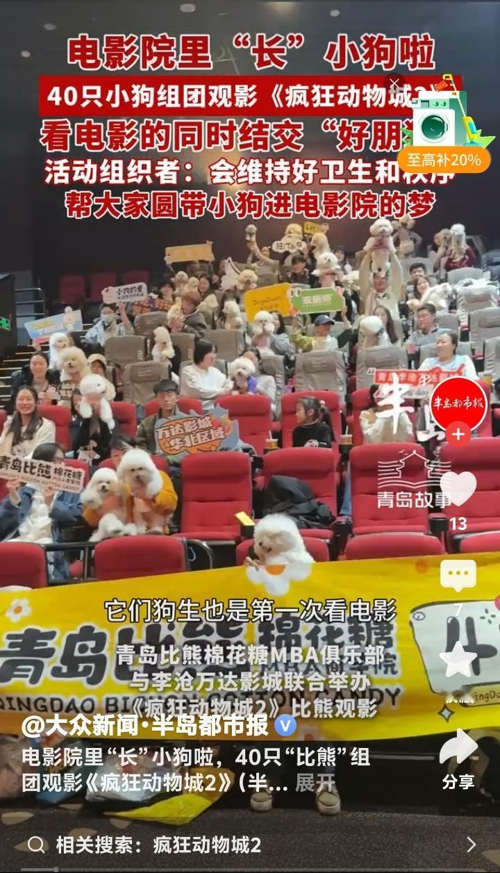 青岛李沧万达影城惊现40只比熊犬穿尿不湿组团看《疯狂动物城2》，毛孩子正襟危坐盯