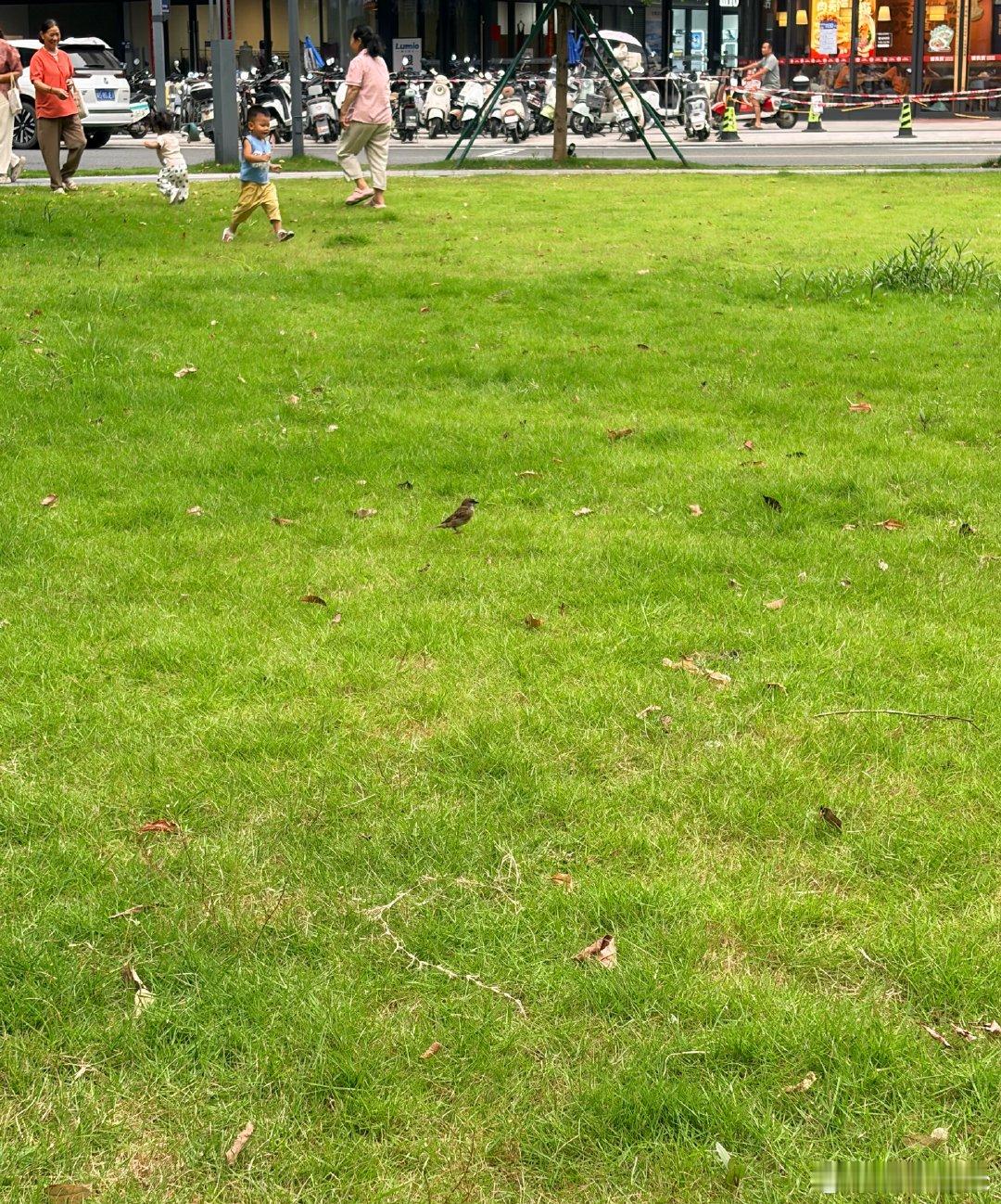 明天宝爸就要公司同事一起去旅游了，还好有老妈陪我在家带娃，不然一个人真的太难熬了