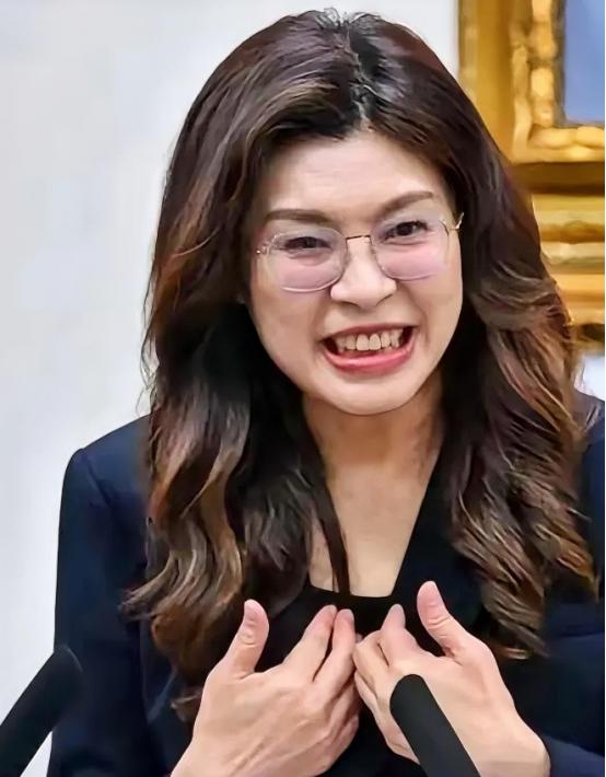 郑丽文6月23日说出一番让大陆网友目瞪口呆的话，她竟然声称，"谈统一是不切实际的