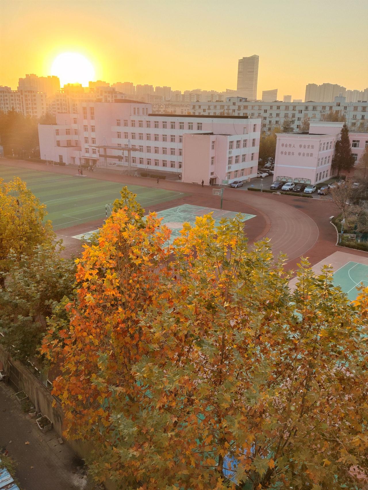 冬日生活打卡季青島六十三中冬季金早7：05分東昇的太陽，新的一天又活力满满，我們