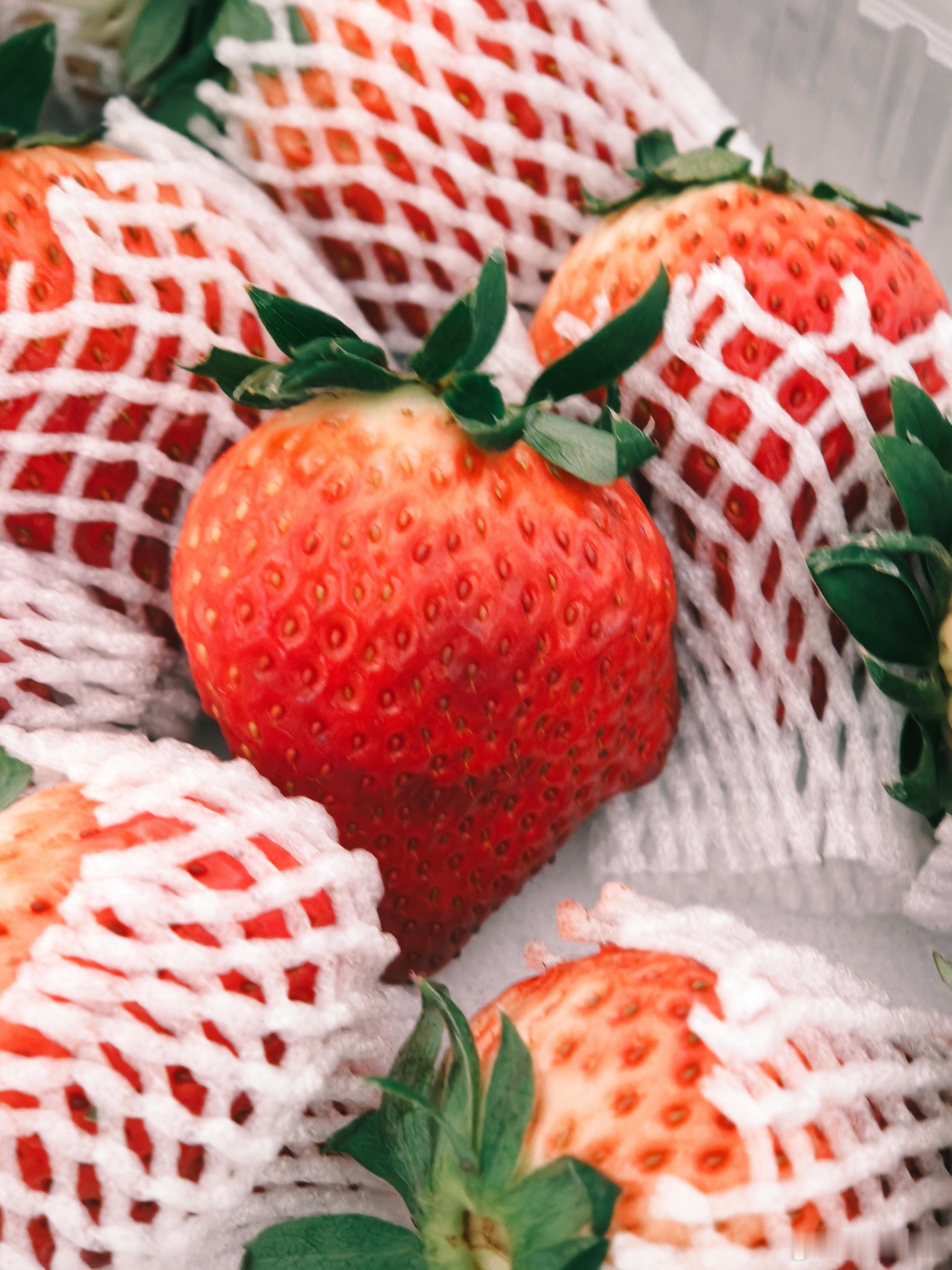 你可能看不出来，但我买的这个草莓和我半个手掌一样大（不吹牛兴奋的都拍糊了。电车同