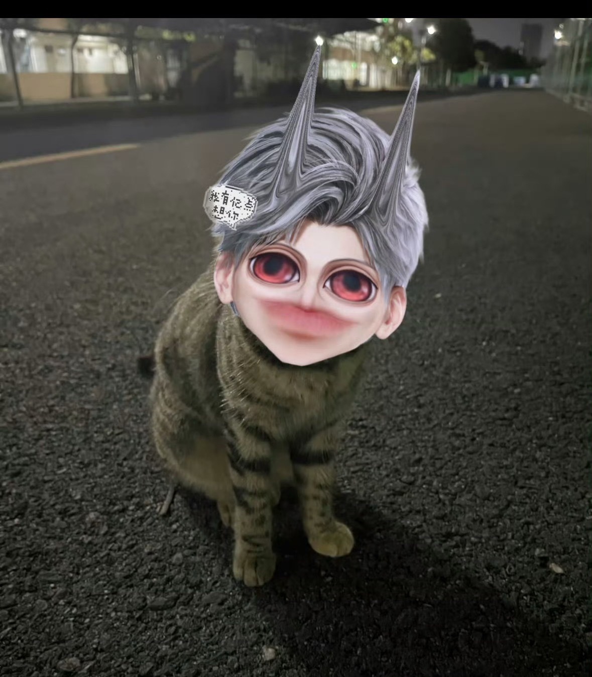 老芹菜想做你的猫 