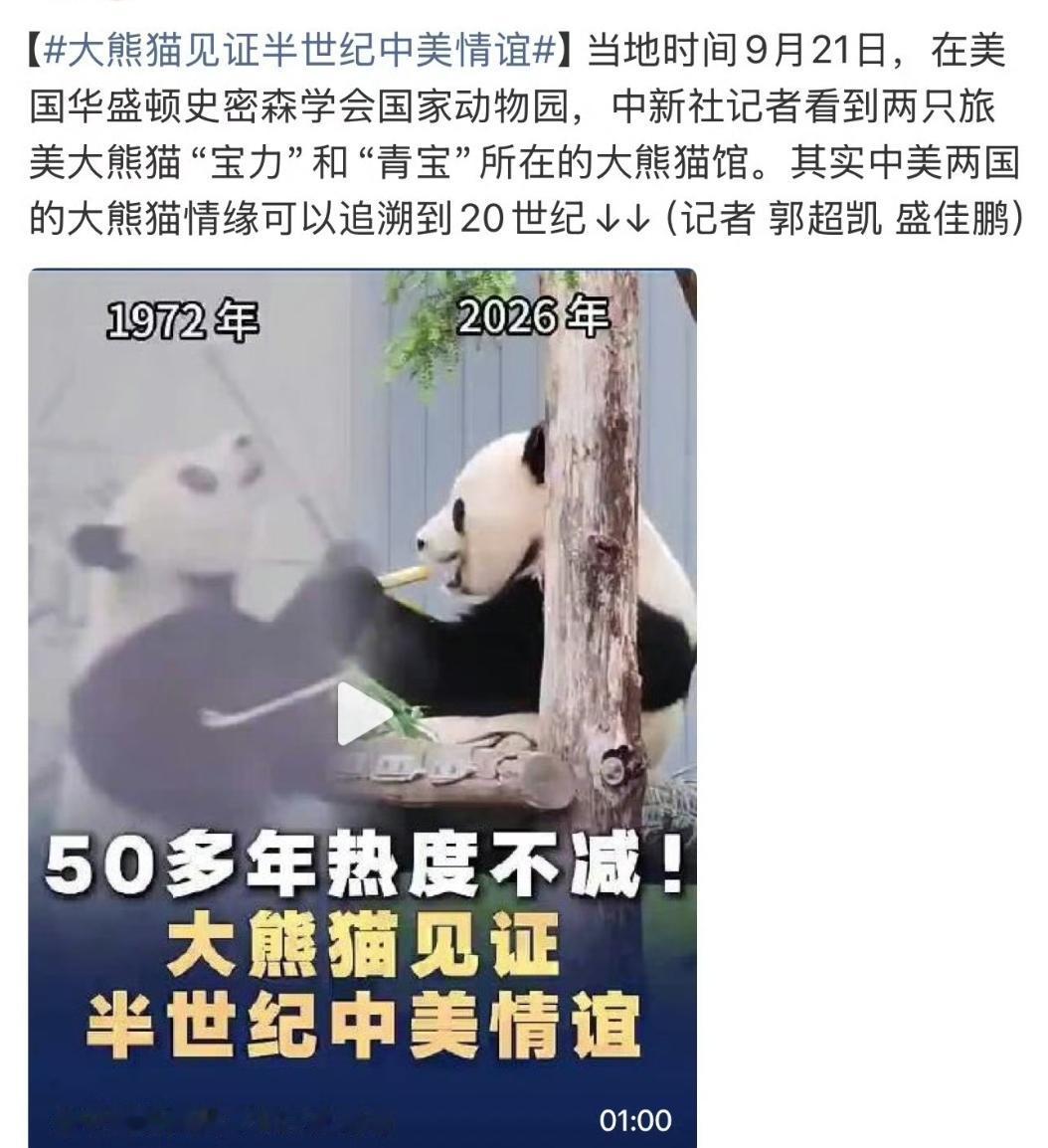 谁还能想起大熊猫丫丫？