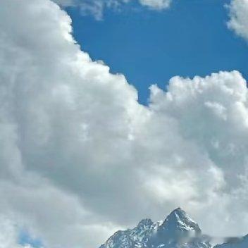 每日一善 生活的天空不可能永远清澈透明，有风雨也是常事。但只要向阳而生，保持内心