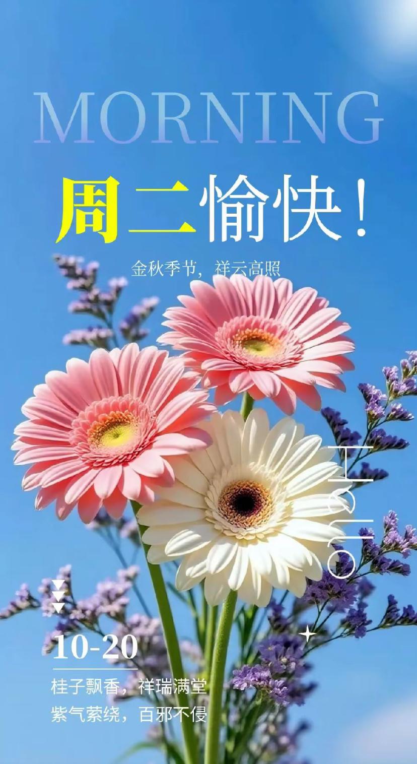 秋晨心语，凭风砺骨踏层冰，历尽千帆亦可征。
 2026./10.20.
[微风]