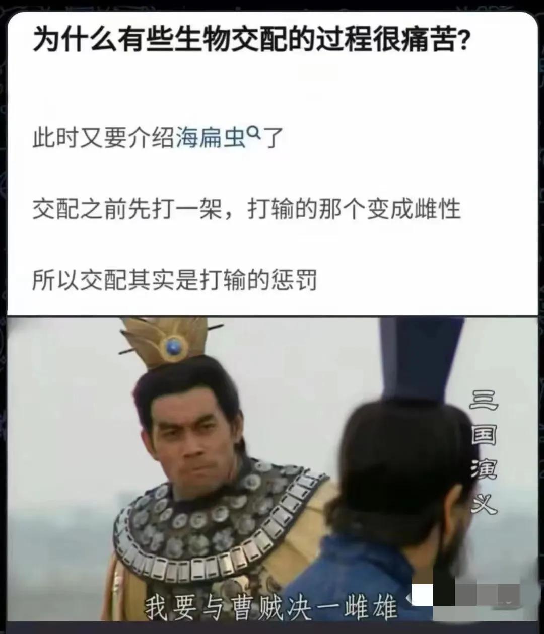 我现在总算理解一决雌雄的含义了，海扁虫打架输的一方会变成雌性[呲牙]