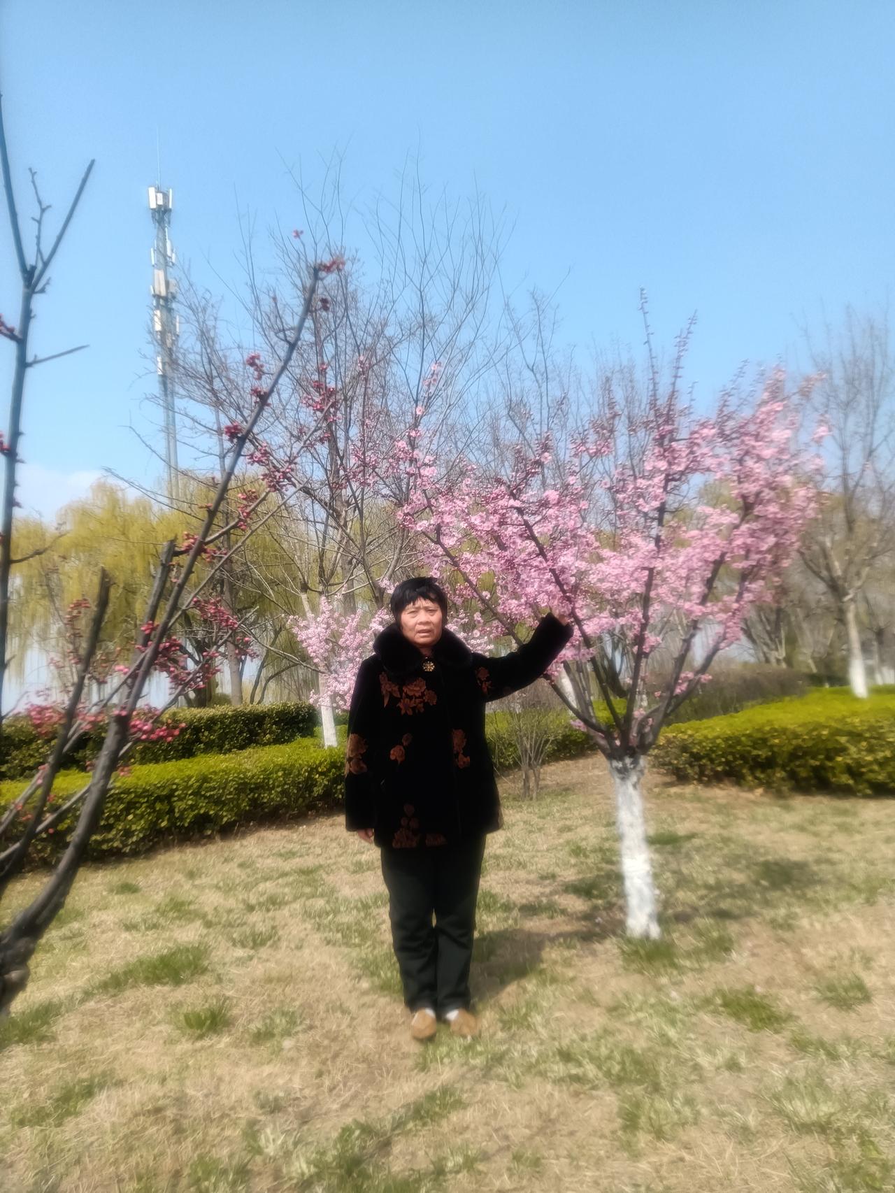 冬去山明水秀
藏头诗
文/李兴伟
冬去春来山花放，
去观美景心舒畅。
山花烂漫花