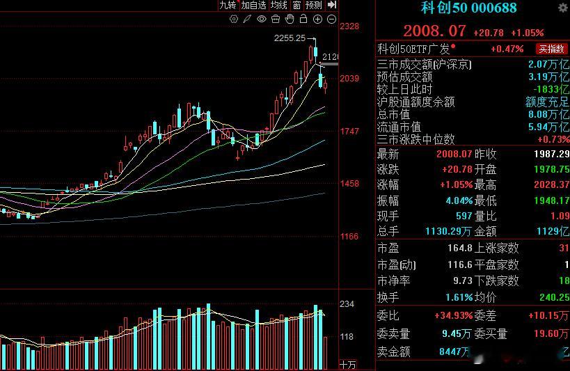 科创50指数表现具风向标意义，指数前期经历短线急杀，最大回调超300点，风X快速