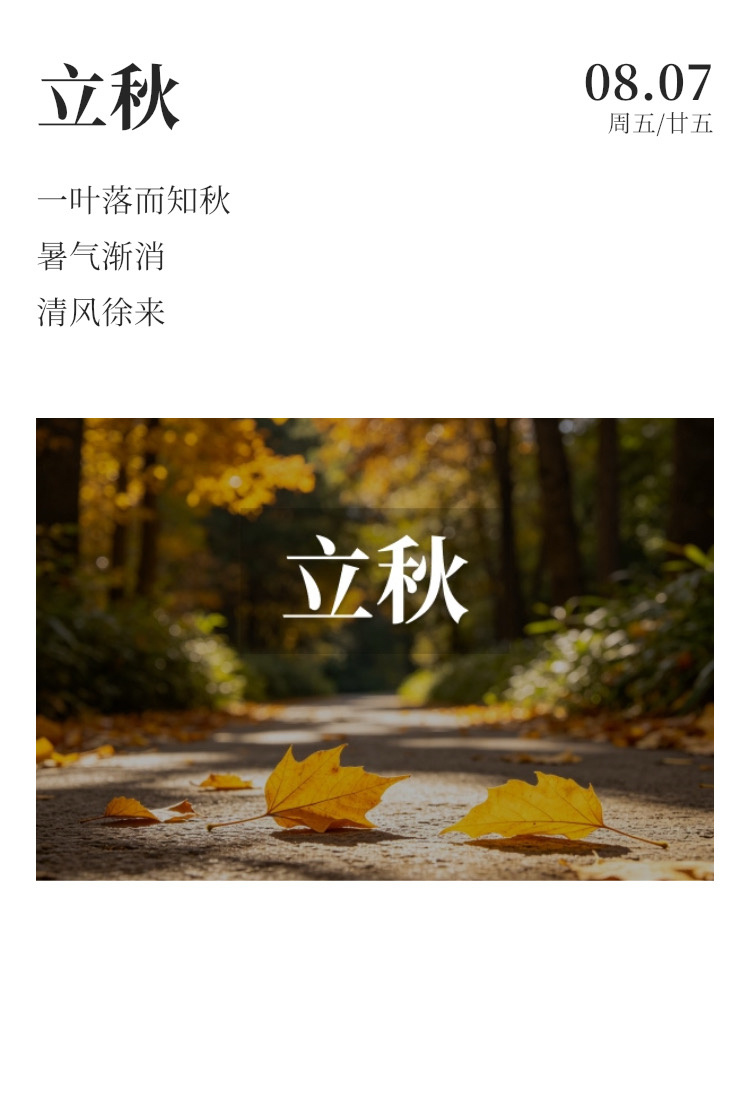 早安 ⛅每日早起打卡  暑意尚存，立秋已至。采一份舒宁在心，静待第一片梧桐叶落，