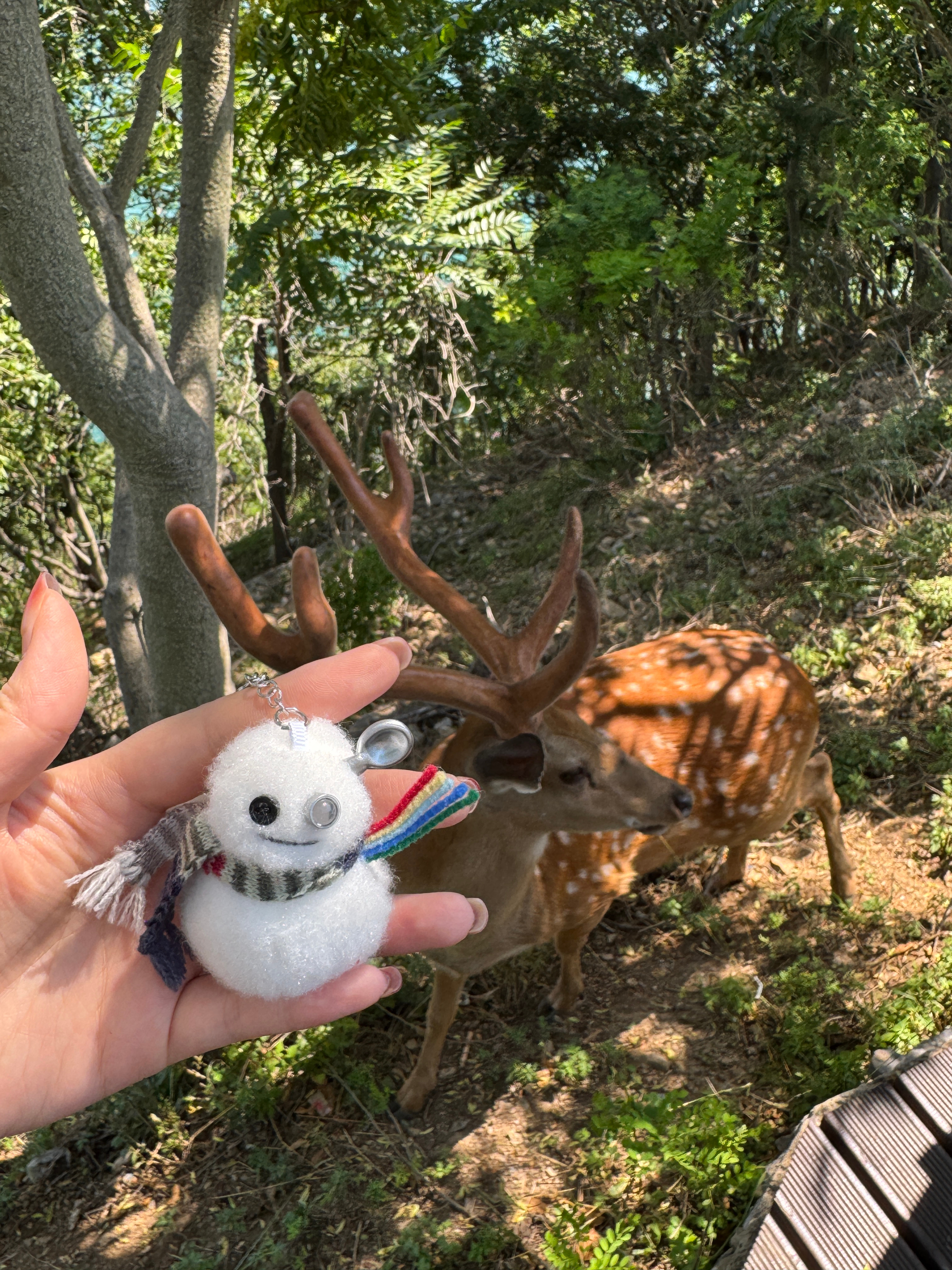 一张图证明我来过这里运气很好哦～带宝宝出门就碰到野生梅花鹿 大连·滨海大道跨海大